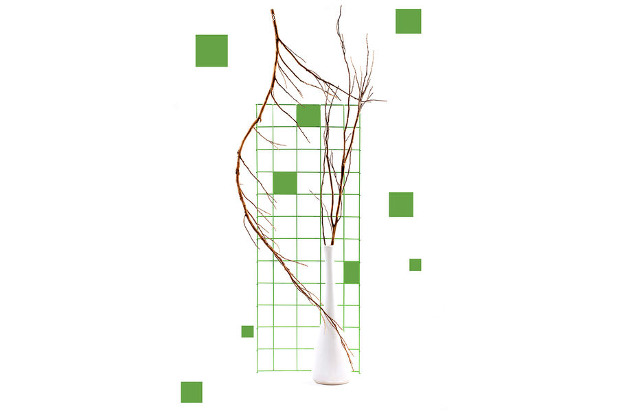 Diagram, Plan