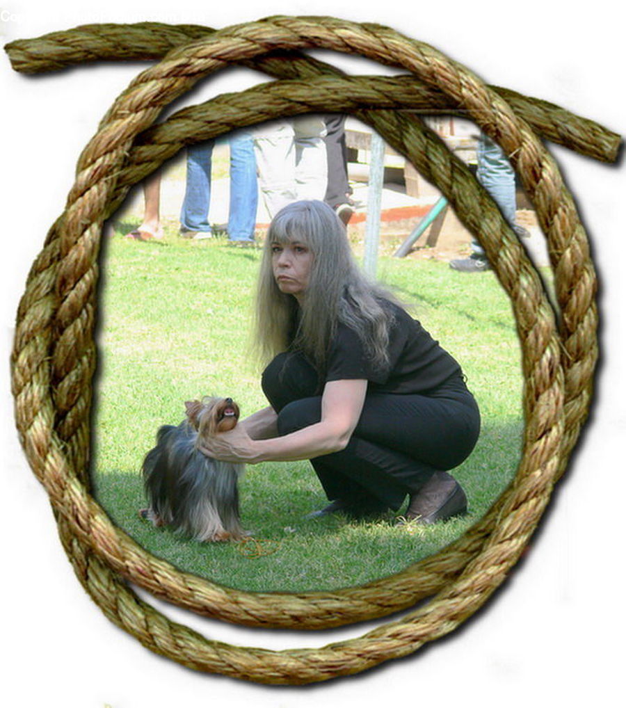 People, Person, Human, Afghan Hound, Animal, Canine, Dog