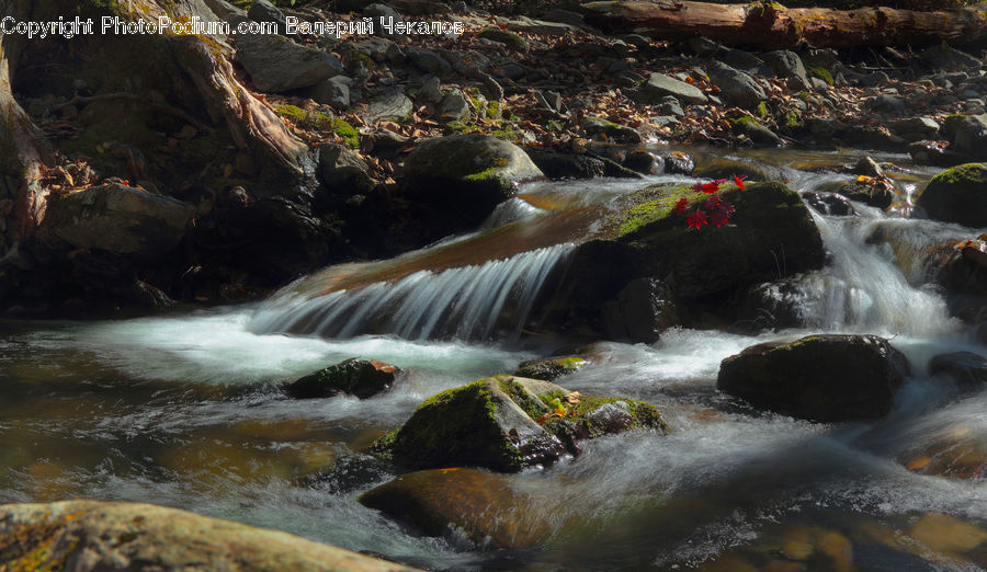 Creek, Outdoors, River, Water, Waterfall, Rock, Forest