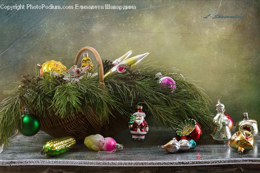 Plant, Potted Plant, Floral Design, Flower, Flower Arrangement, Flower Bouquet, Ikebana