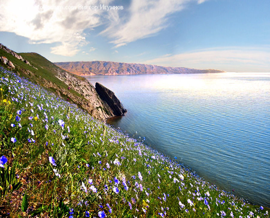Cliff, Outdoors, Coast, Sea, Water, Beach, Field