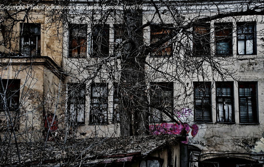 Balcony, Brick, Fence, Wall, Plant, Tree, Alley