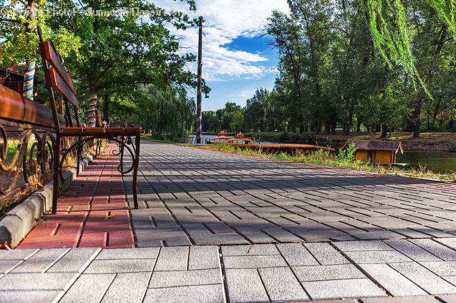 Bench, Park Bench, Playground, Lumber, Forest, Grove, Land
