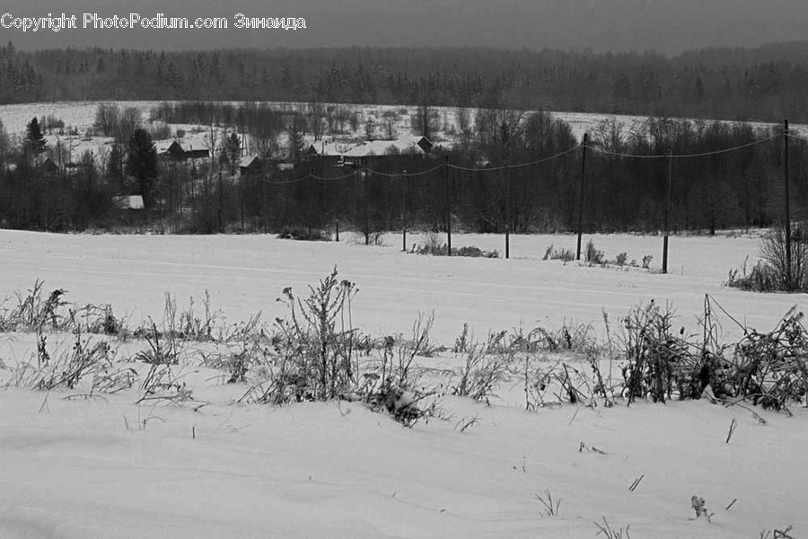 Ice, Outdoors, Snow, Countryside, Sand, Soil, Conifer