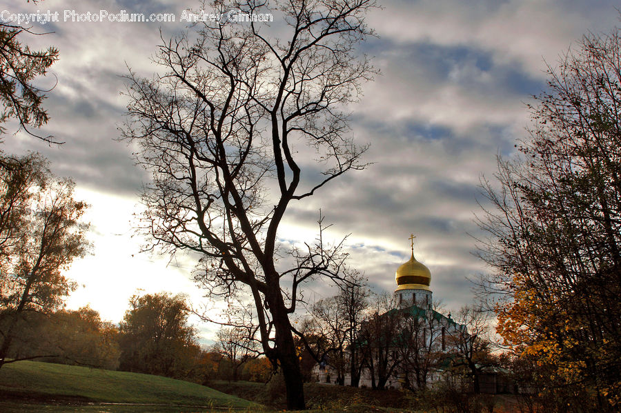 Architecture, Bell Tower, Clock Tower, Tower, Park, Gazebo, Campus