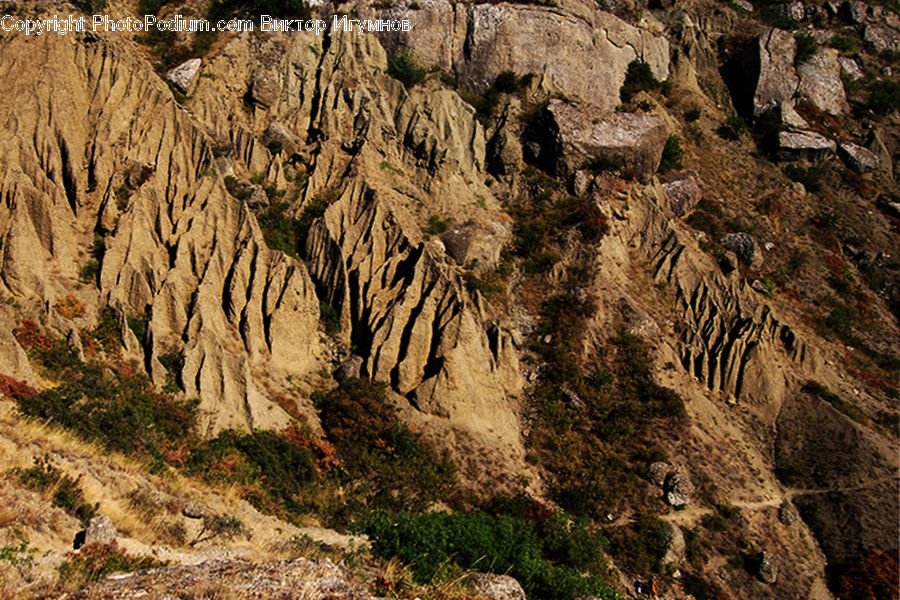 Soil, Canyon, Outdoors, Valley, Rock, Plant, Vegetation