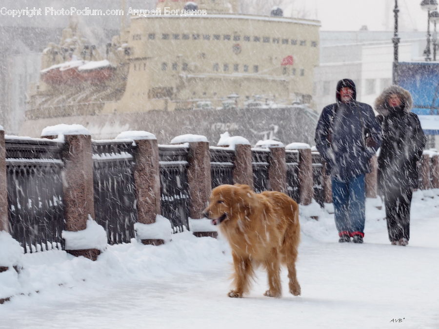 People, Person, Human, Blizzard, Outdoors, Snow, Weather