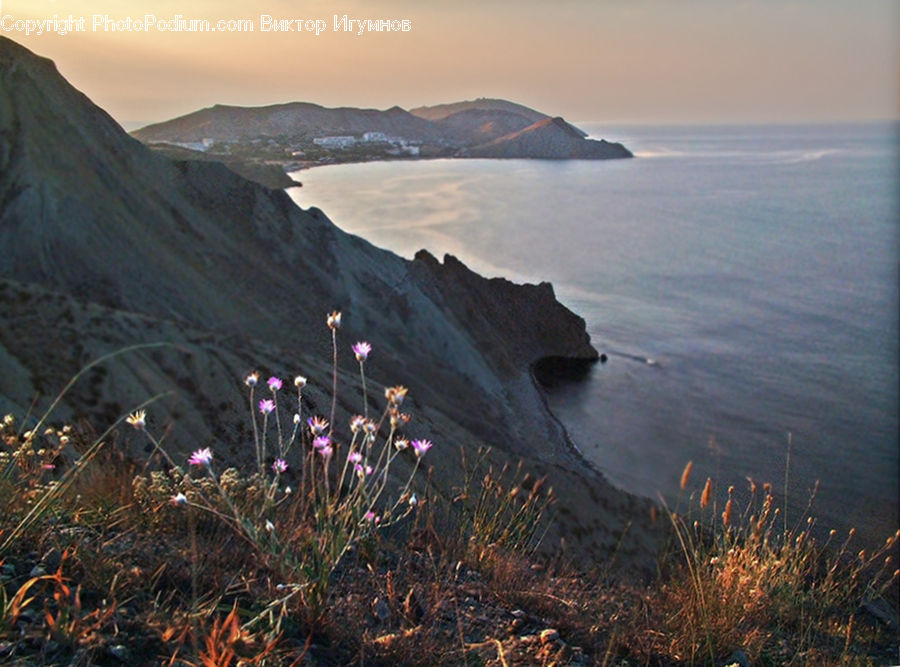 Dawn, Dusk, Sky, Sunrise, Sunset, Promontory, Flora