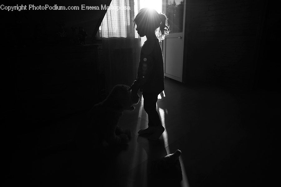 People, Person, Human, LED, Lighting, Spotlight, Ballerina