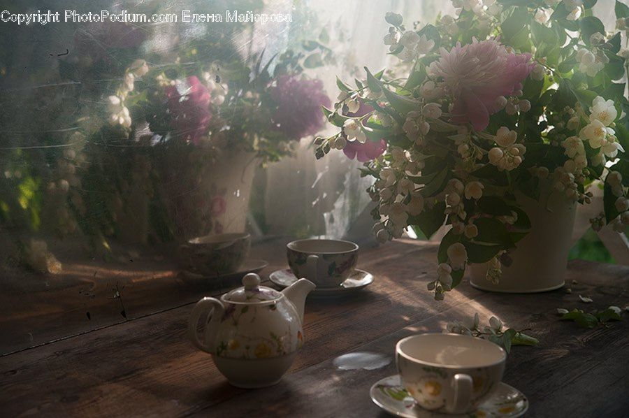Cup, Pot, Pottery, Teapot, Coffee Cup, Bowl, Plant