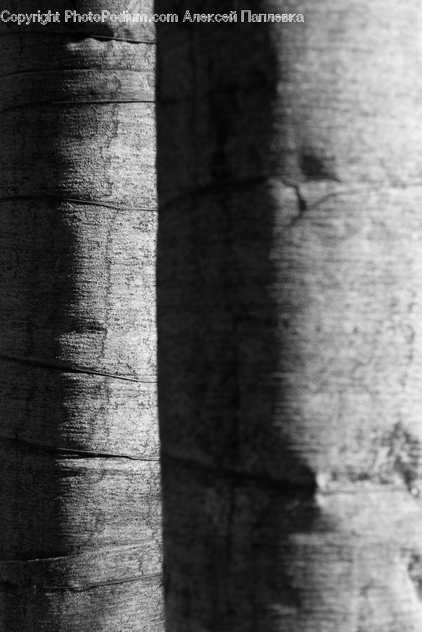 Brick, Fence, Wall, Alley, Alleyway, Road, Street
