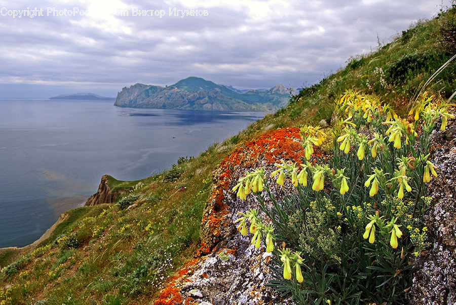 Coast, Outdoors, Sea, Water, Cliff, Landscape, Nature