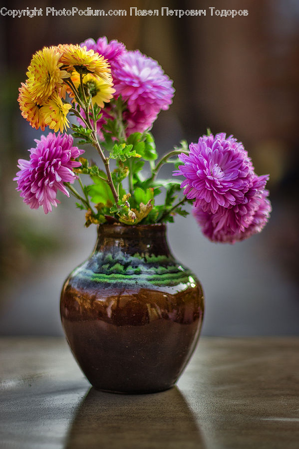 Floral Design, Flower, Flower Arrangement, Flower Bouquet, Ikebana, Blossom, Flora