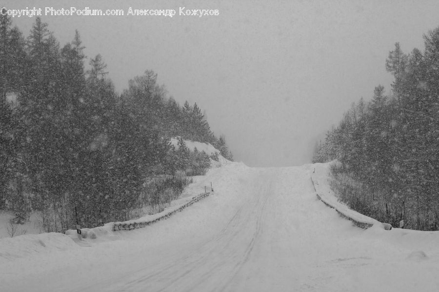 Ice, Outdoors, Snow, Road, Dirt Road, Gravel, Forest
