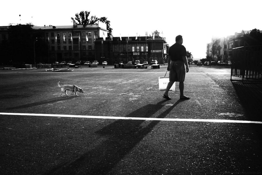 Human, People, Person, Asphalt, Tarmac, Intersection, Road