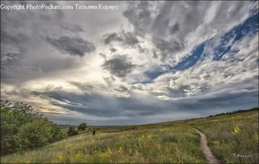 Field, Grass, Grassland, Land, Outdoors, Countryside, Path