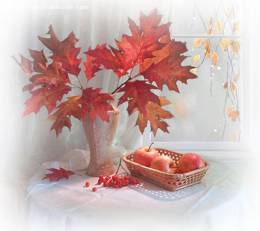 Birthday Cake, Cake, Dessert, Food, Footwear, Shoe, Flower Arrangement