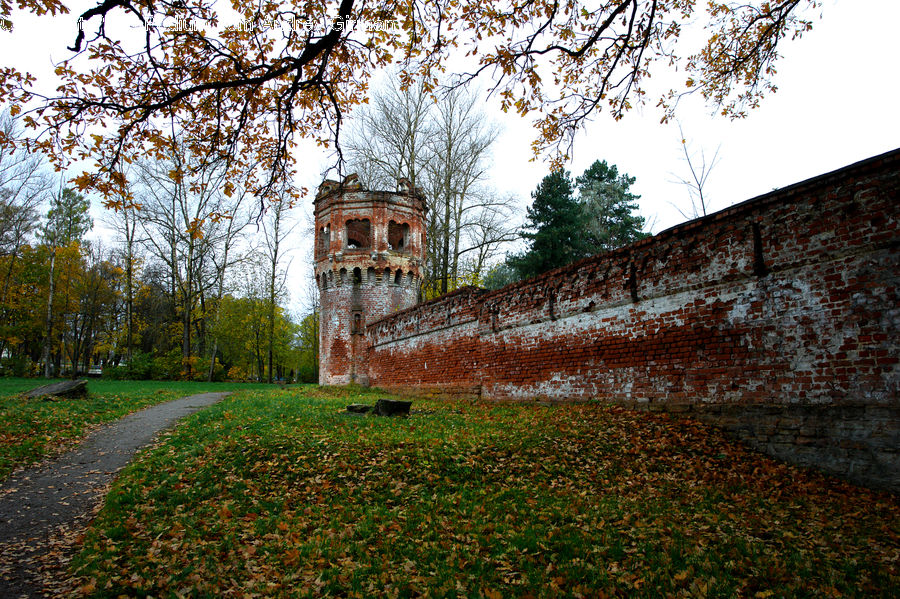 Campus, Brick, Castle, Fort, Plant, Tree, Oak
