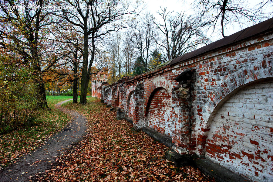 Cobblestone, Pavement, Walkway, Path, Road, Dirt Road, Gravel