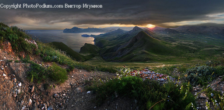 Mountain, Mountain Range, Outdoors, Blossom, Flora, Flower, Plant