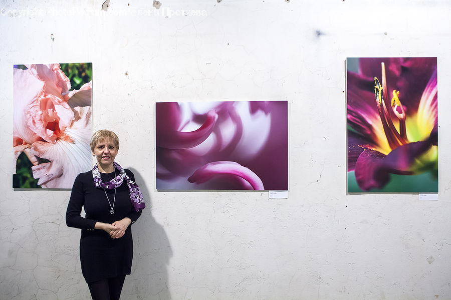 Human, People, Person, Collage, Poster, Amaryllis, Flower
