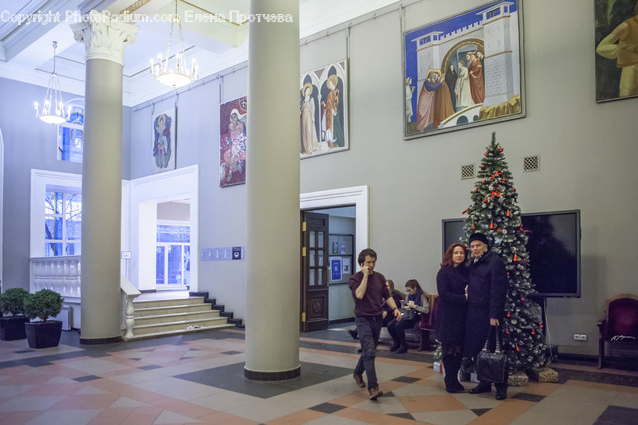 People, Person, Human, Art, Art Gallery, Conifer, Fir