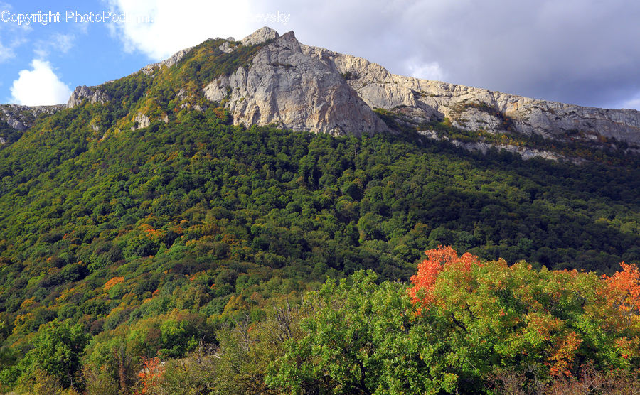 Crest, Mountain, Outdoors, Peak, Mountain Range, Moss, Plant