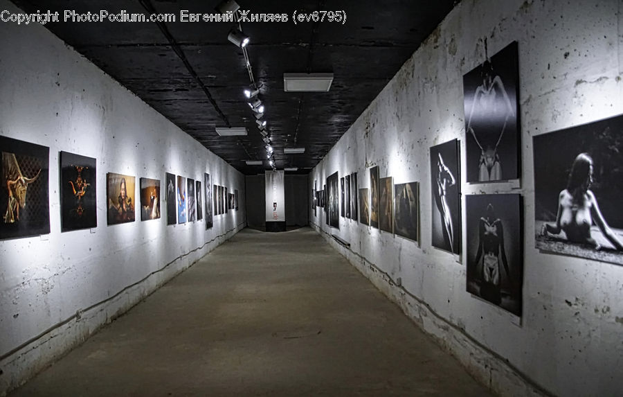 Lighting, Corridor, Path, Sidewalk, Walkway, Subway, Train