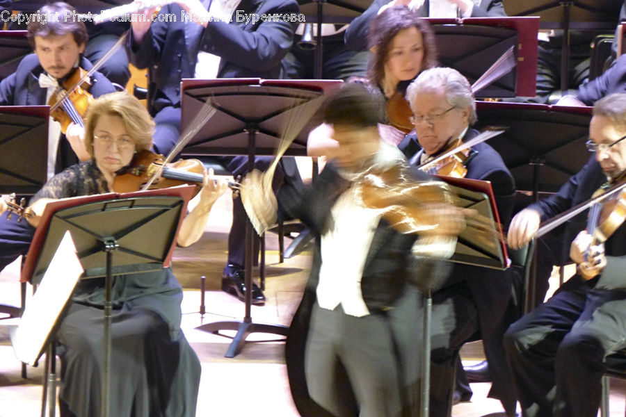 People, Person, Human, Cello, Musical Instrument, Fiddle, Violin