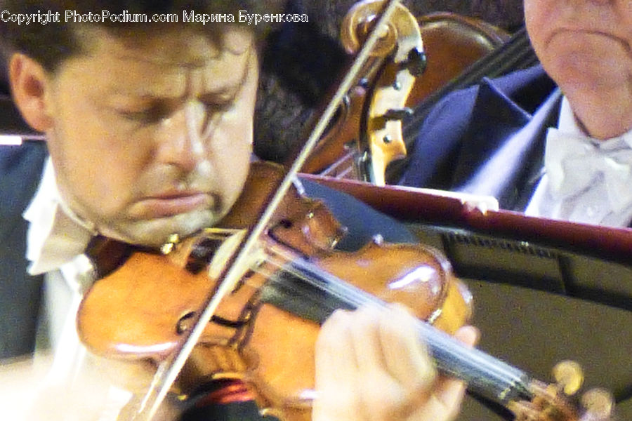 People, Person, Human, Cello, Fiddle, Musical Instrument, Violin