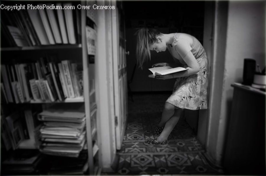 People, Person, Human, Book, Bookcase, Furniture, Shelf