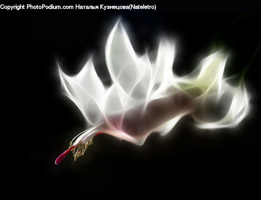 Smoke, Fire, Flame