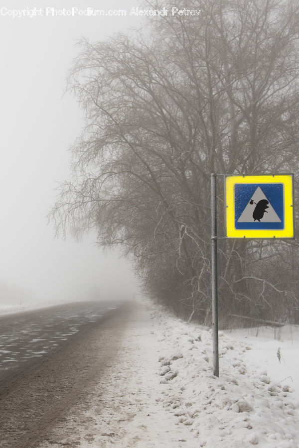 Label, Sticker, Road, Dirt Road, Gravel