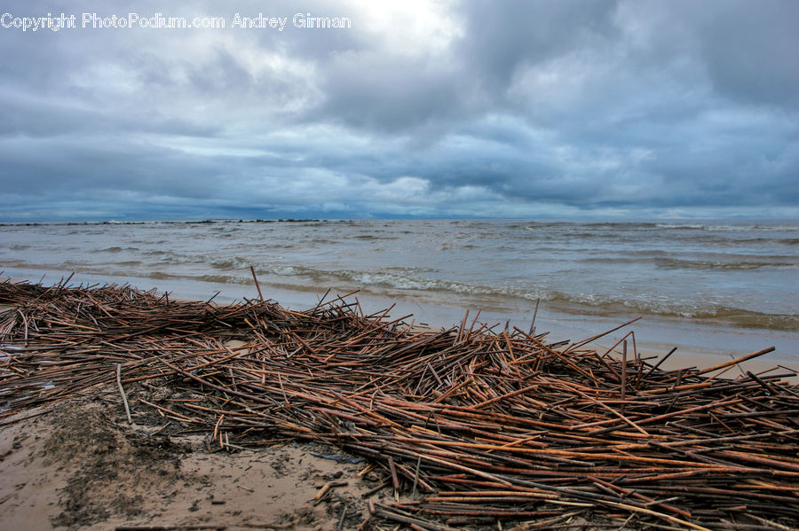 Beach, Coast, Outdoors, Sea, Water, Plant, Vegetation