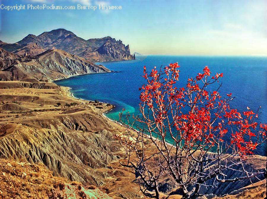 Coast, Outdoors, Sea, Water, Beach, Cliff, Landscape