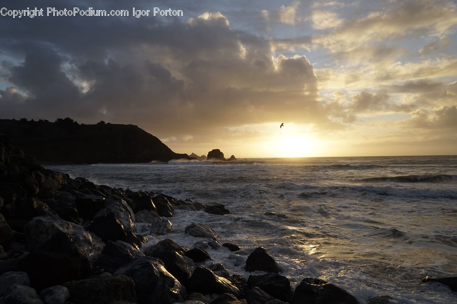 Coast, Outdoors, Sea, Water, Ocean, Beach, Rock