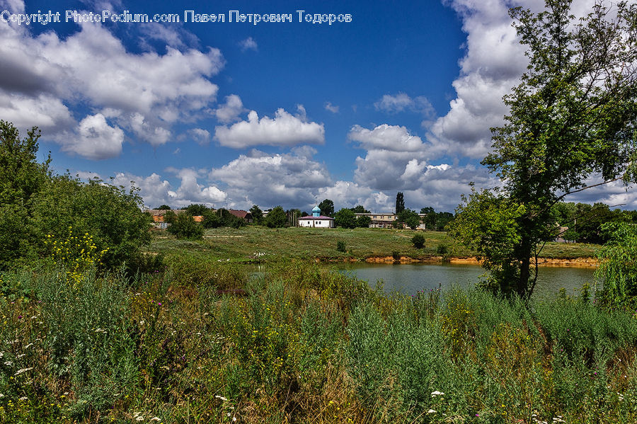 Cloud, Cumulus, Sky, Field, Grass, Grassland, Land