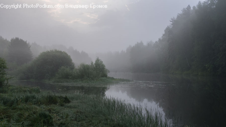 Fog, Mist, Outdoors, Landscape, Nature, Scenery, Forest