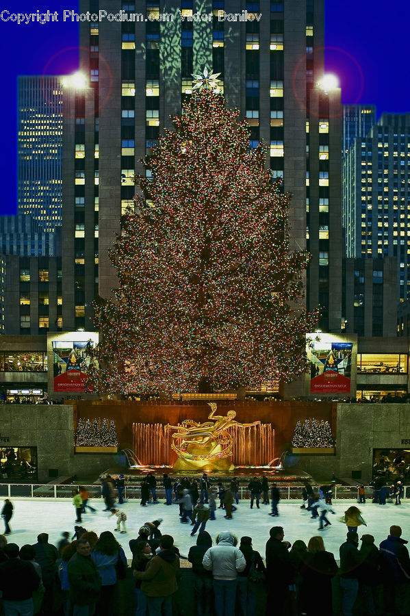 Architecture, City, Downtown, High Rise, Skyscraper, Ice Skating, Rink