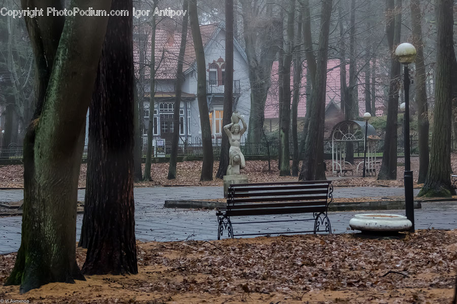 Bench, Park Bench, Plant, Tree, Oak, Wood, Arch