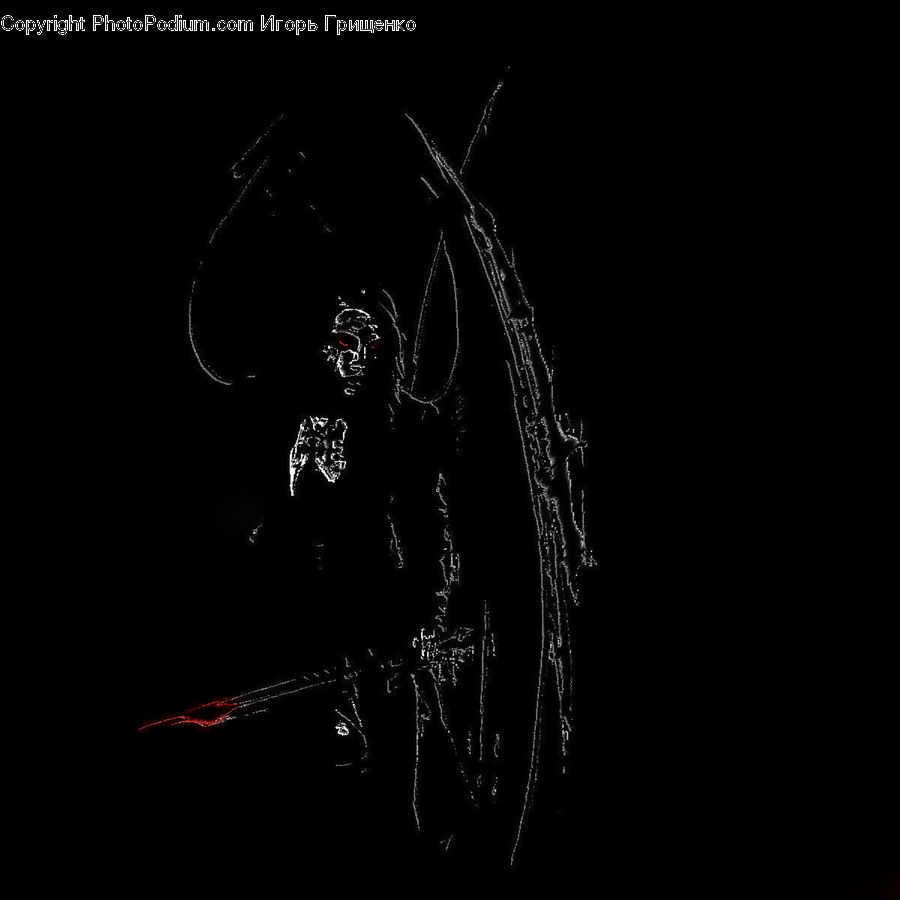 Arachnid, Garden Spider, Insect, Invertebrate, Spider, Silhouette, Night
