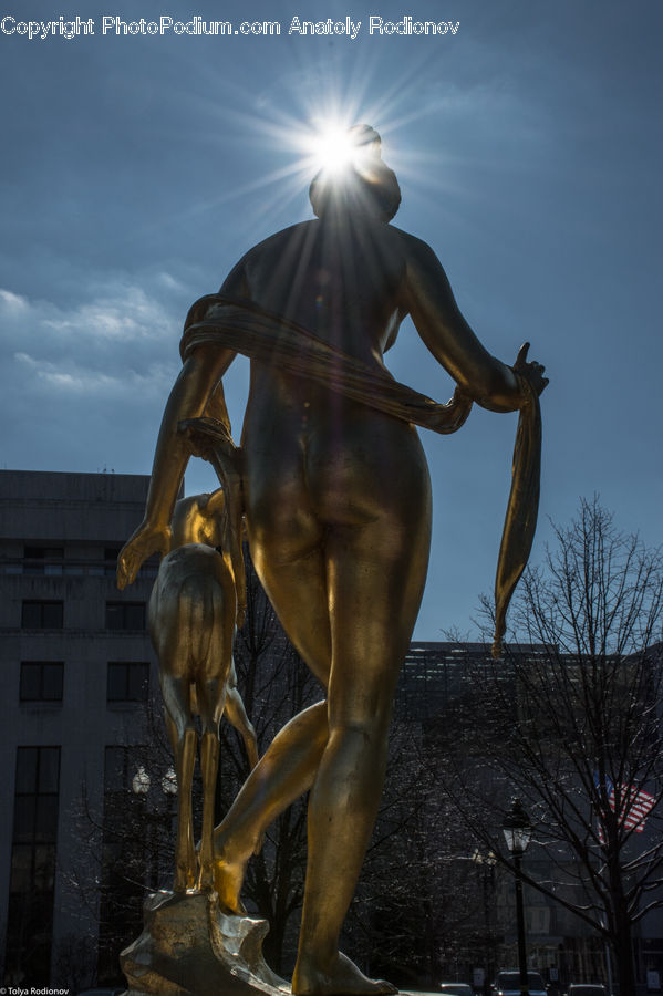 Fountain, Water, Plant, Tree, Art, Sculpture, Statue