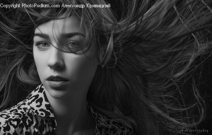 People, Person, Human, Female, Portrait, Girl