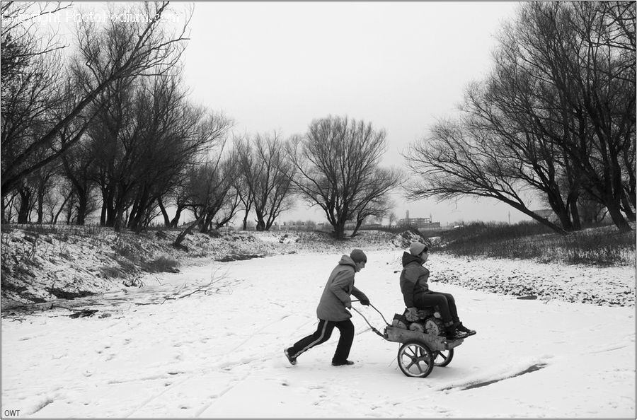 People, Person, Human, Tricycle, Vehicle, Forest, Vegetation