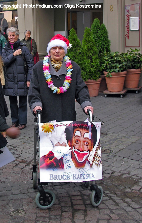 Plant, Potted Plant, People, Person, Human, Herbal, Herbs