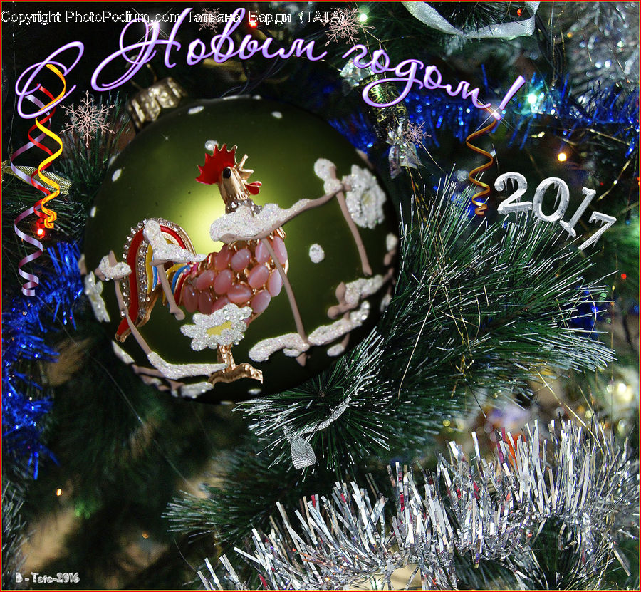 Ornament, Lighting, Conifer, Fir, Plant, Tree, Emblem