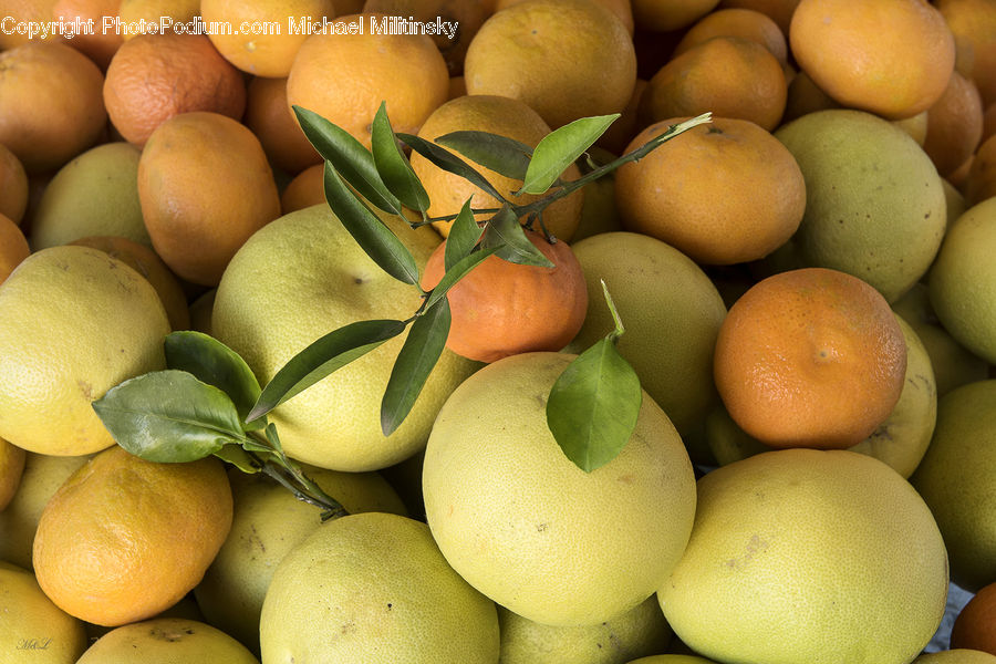 Market, Produce, Citrus Fruit, Fruit, Orange, Grapefruit, Pomelo