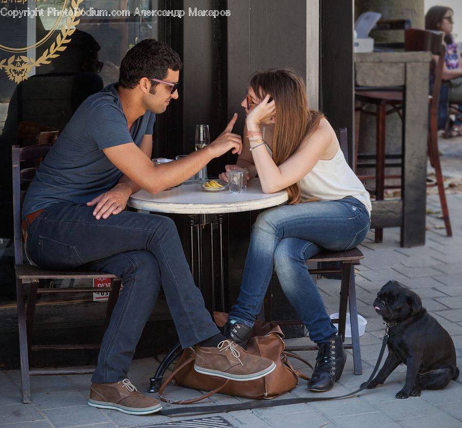 People, Person, Human, Animal, Canine, Dog, Mammal