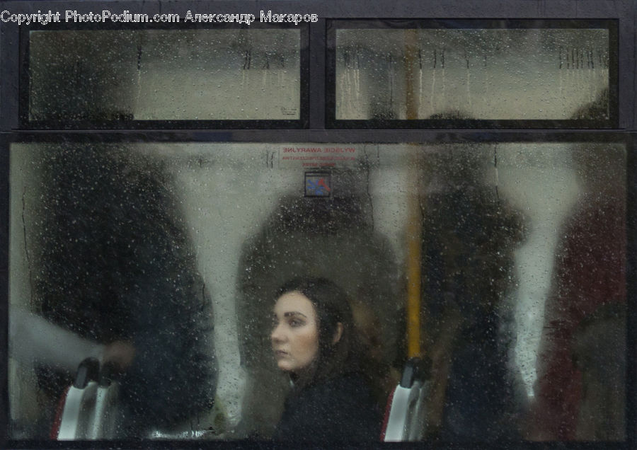 Head, Portrait, Person