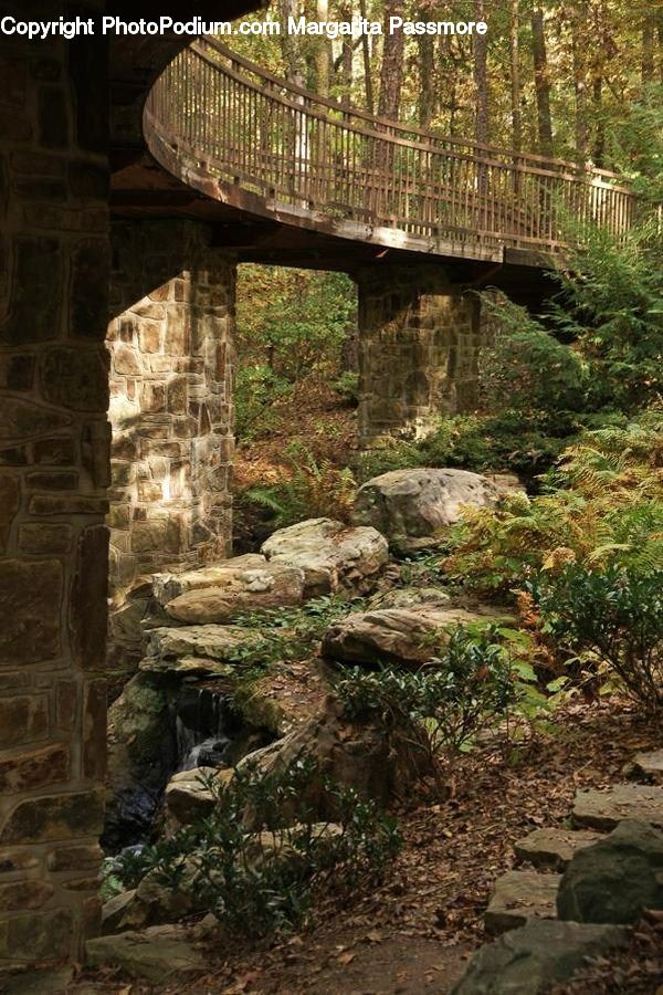Plant, Potted Plant, Rock, Bridge, Ruins, Forest, Grove